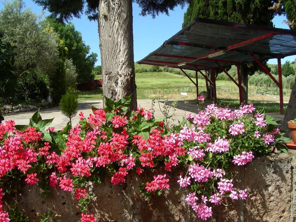 Bauernhof Pier Delle Vigne *