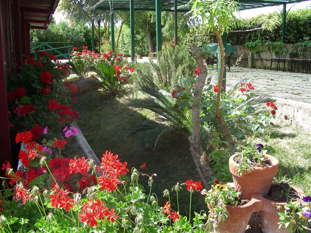 Pier Delle Vigne