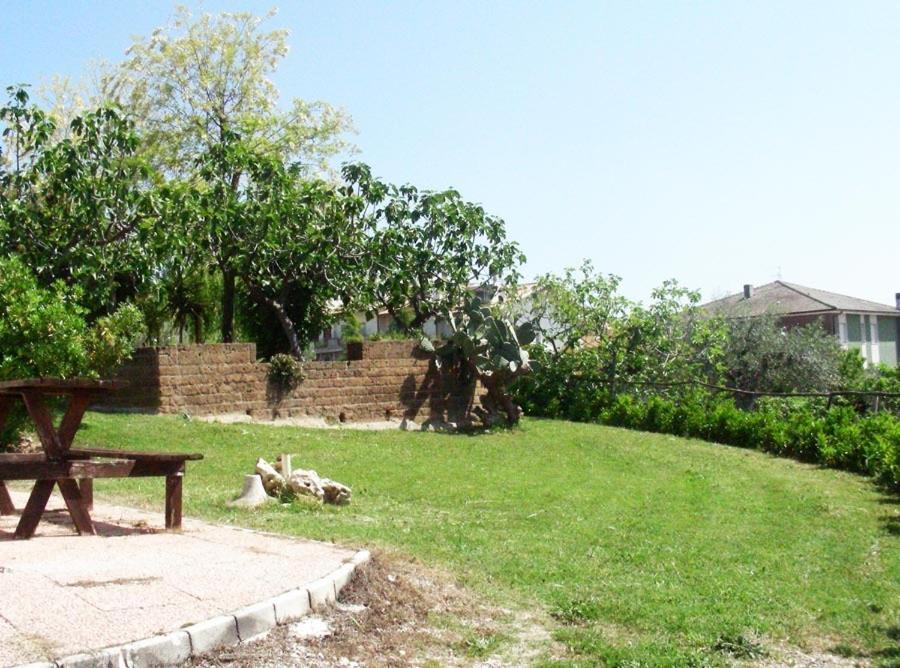 Pier Delle Vigne *