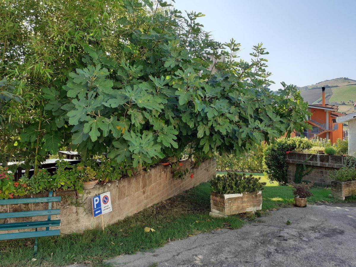Pier Delle Vigne Bauernhof *