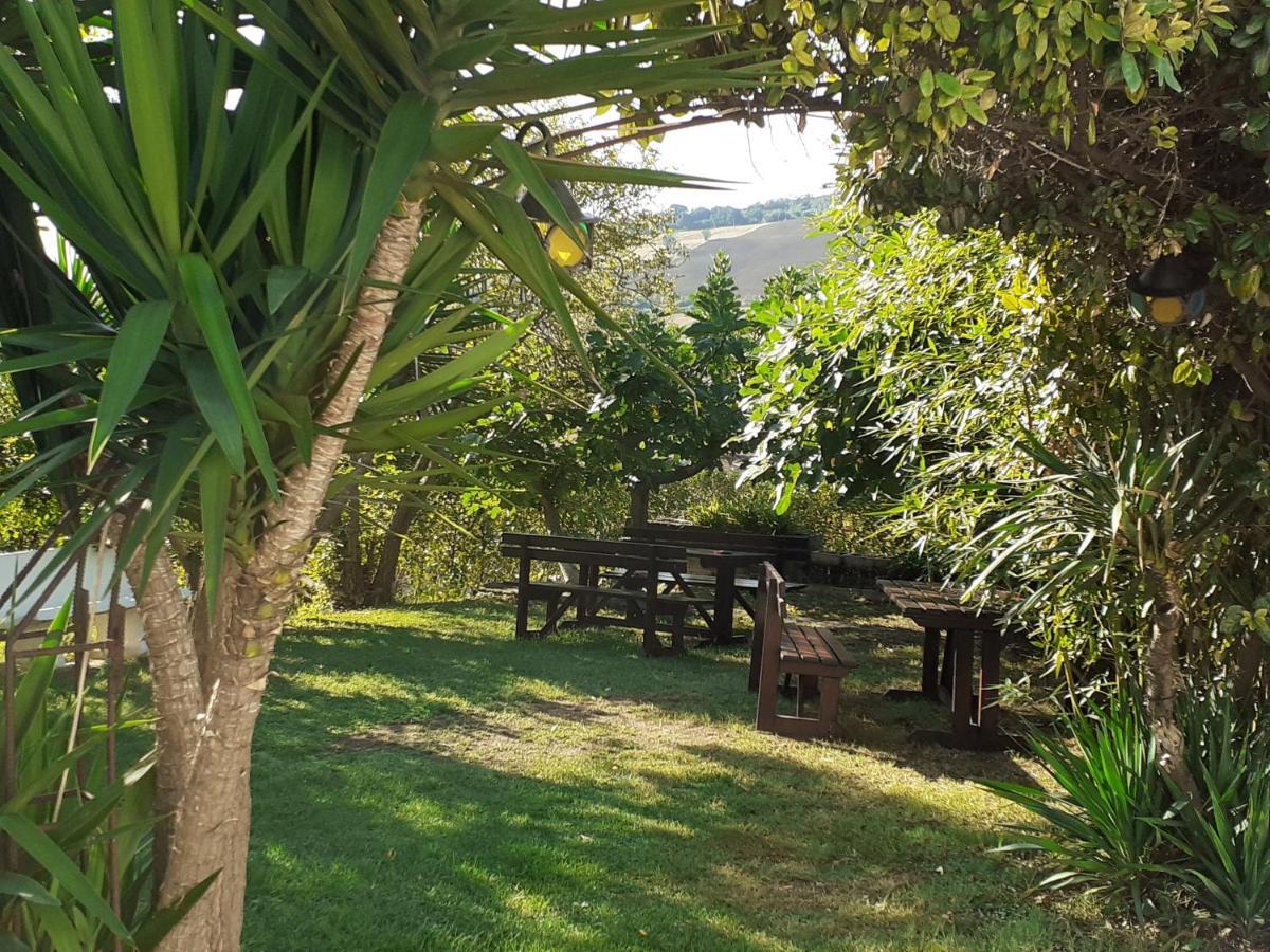 Pier Delle Vigne Bauernhof *