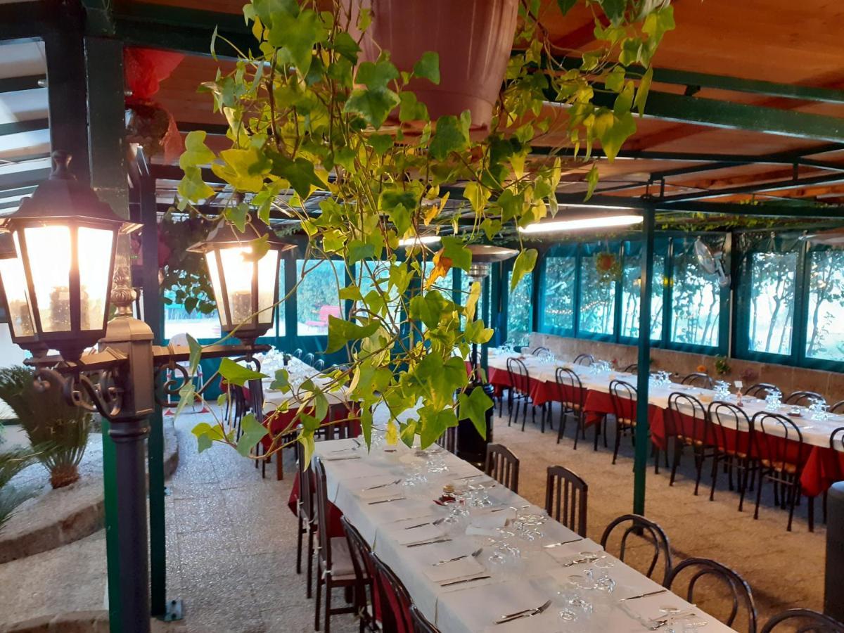 Pier Delle Vigne