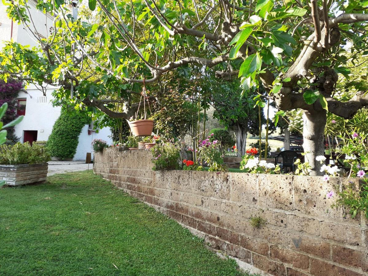 Bauernhof Pier Delle Vigne Pineto